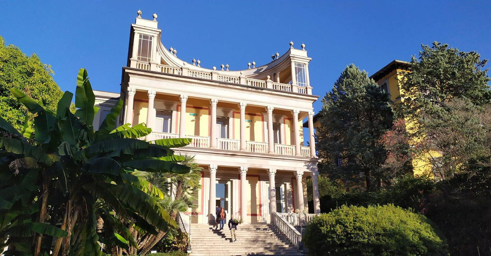 Mostra della camelia a Villa Giulia a Verbania